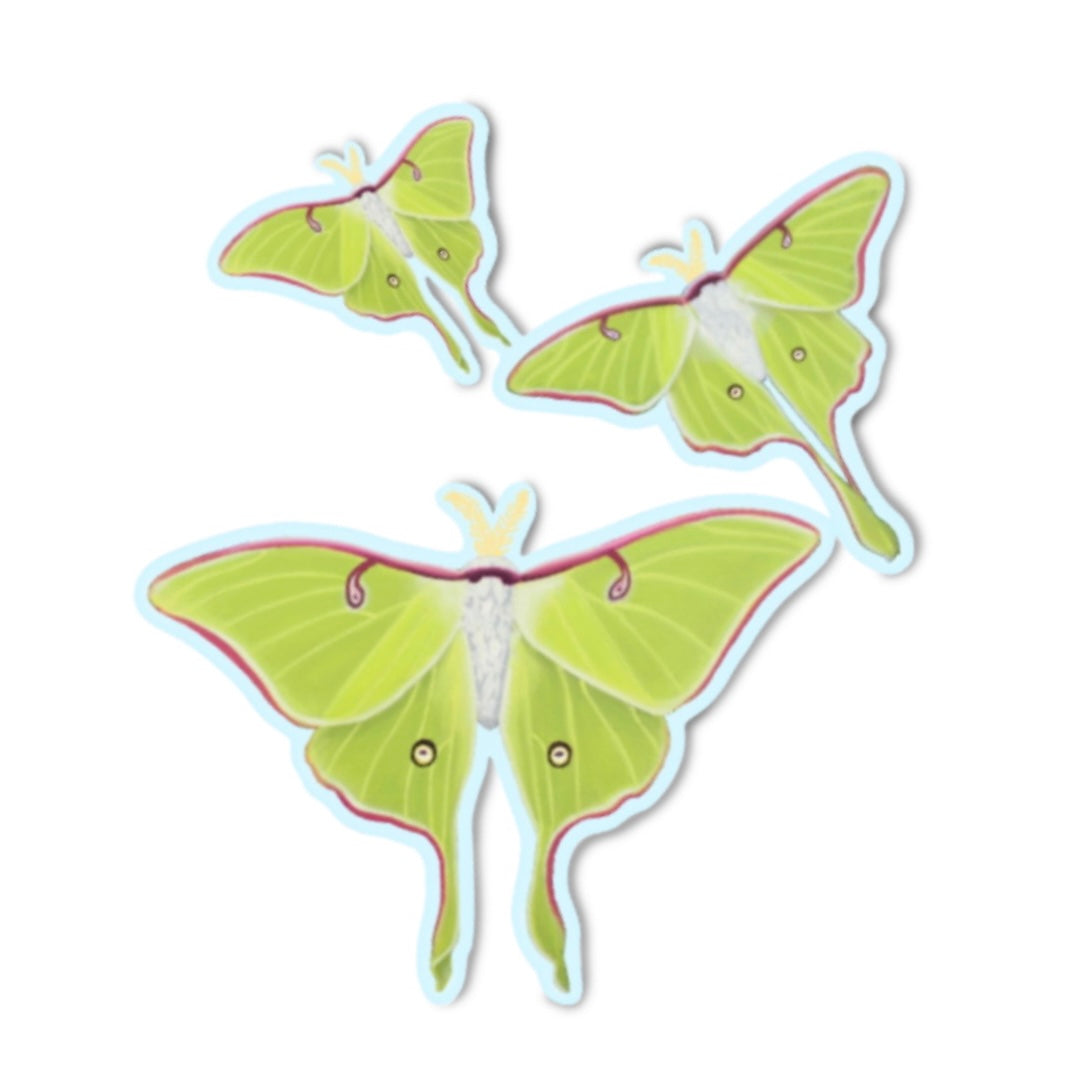 Luna Moth Trio Sticker