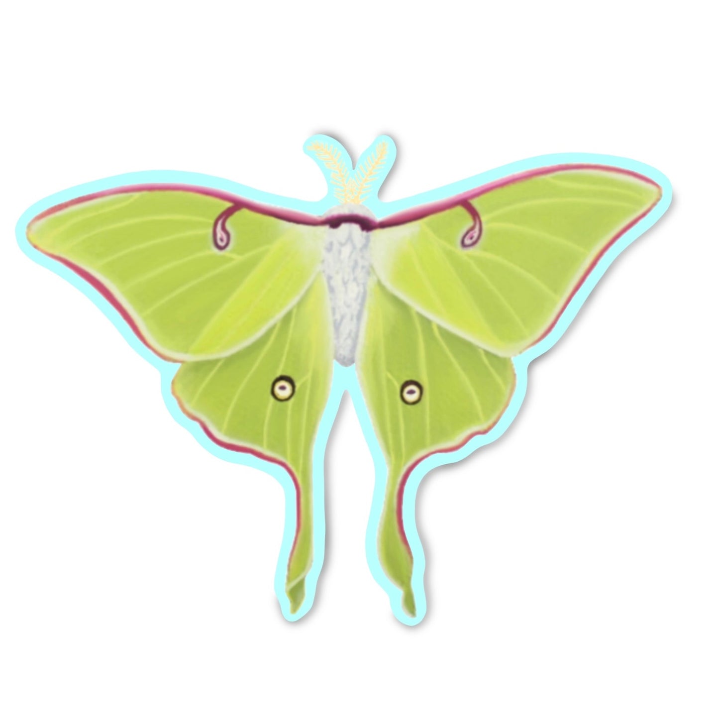 Luna Moth Sticker